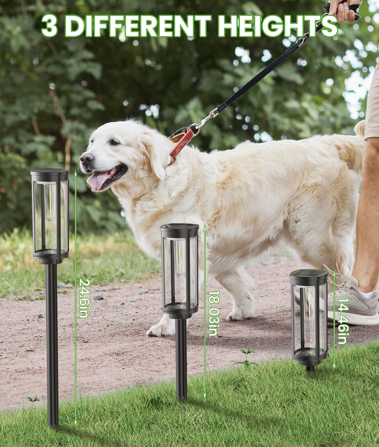 Bright Solar Pathway Lights Outdoor, 8 Pack Solar Garden Lights for Outside Waterproof IP65, Auto On/Off Outdoor Light