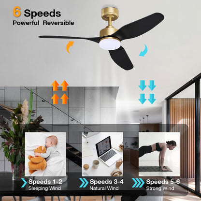 Smart LED Ceiling Fan – WiFi/Alexa Control, Quiet DC Motor, Indoor/Outdoor