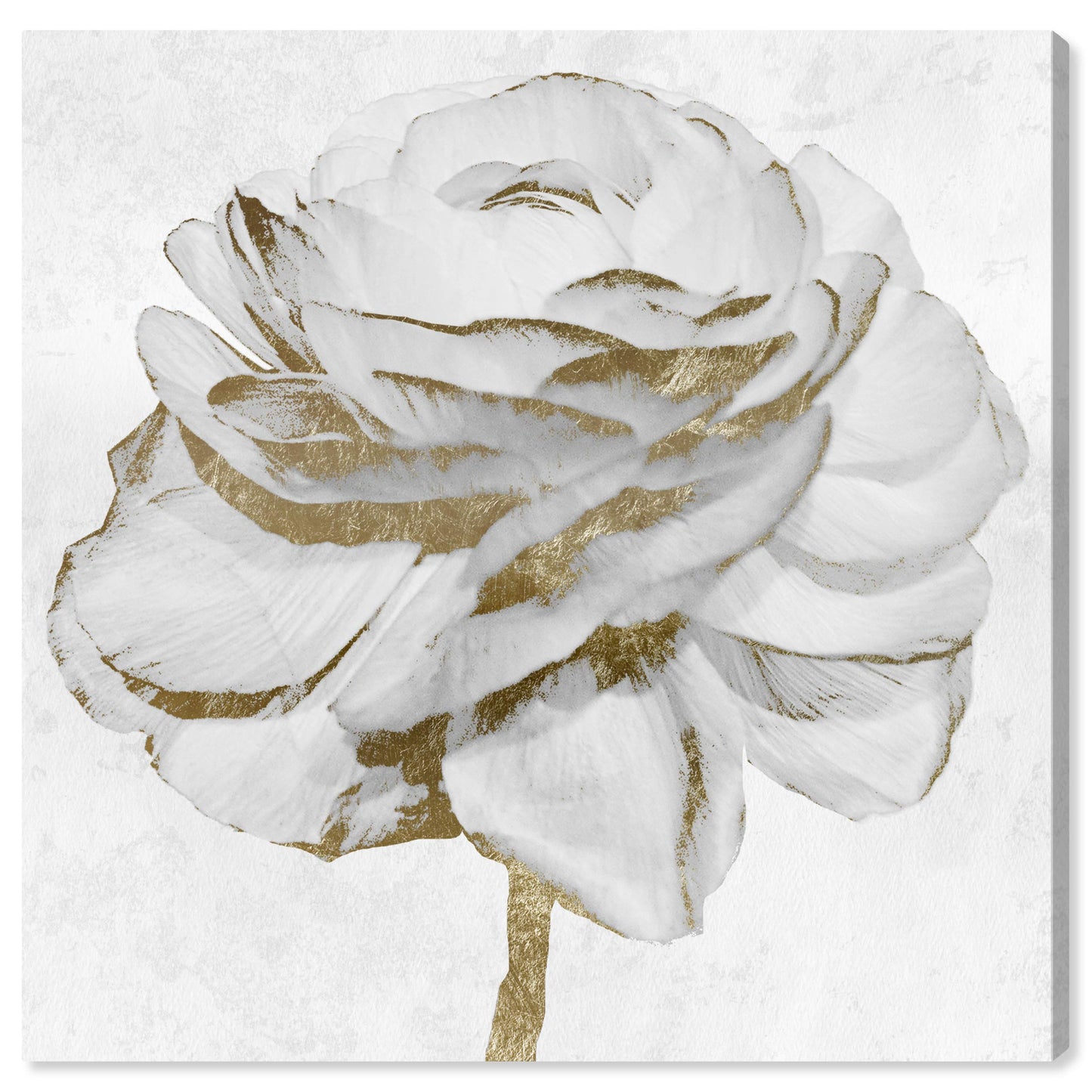 The Oliver Gal Artist Co. Floral Wall Art Canvas Prints 'White Gold Peony'