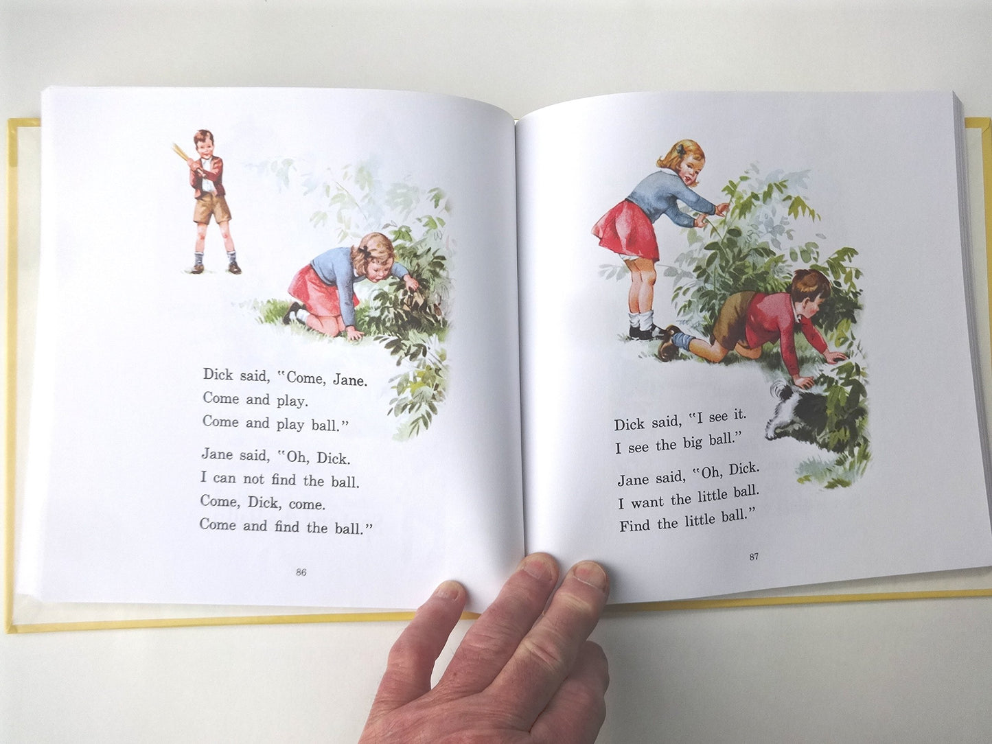 Storybook Treasury of Dick and Jane and Friends