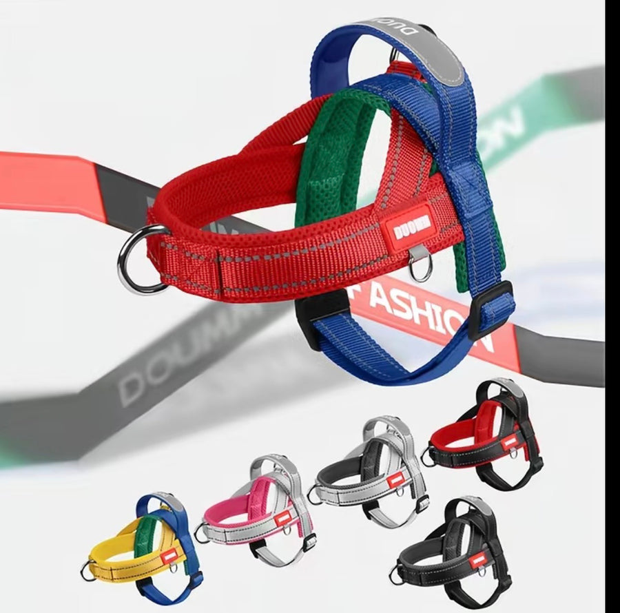 Dog harness recommendation