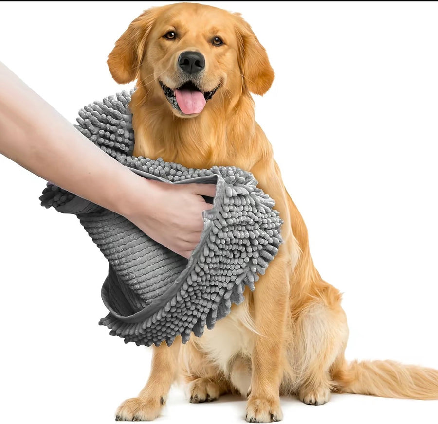 Golden retriever dried with a gray towel