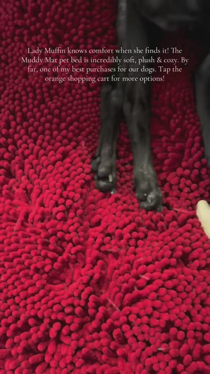 K9 Pet Bed 25x25